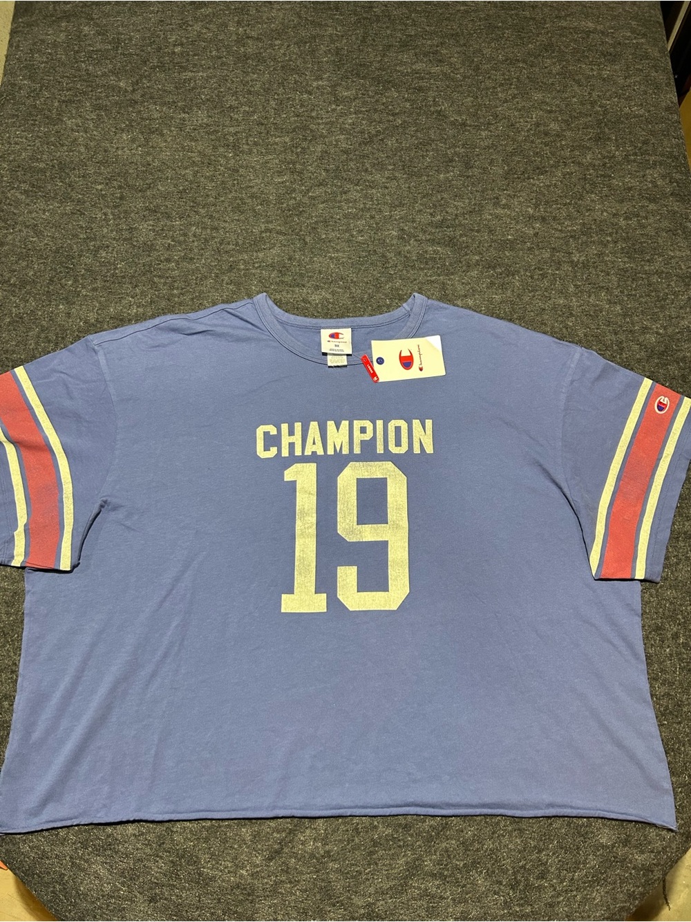 Champion Blue Cropped Short Sleeve Graphic Tee Stripes Loose Fit